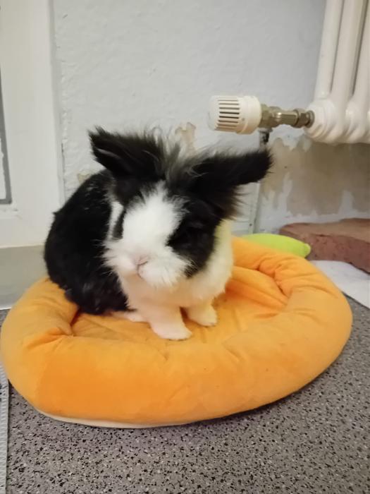 Klicke auf die Grafik fr eine grere Ansicht

Name:	IMG-20250831-WA0052.jpg
Hits:	0
Gre:	174,9 KB
ID:	214667