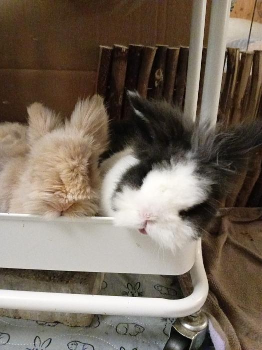 Klicke auf die Grafik fr eine grere Ansicht

Name:	IMG-20250831-WA0053.jpg
Hits:	0
Gre:	294,1 KB
ID:	214668