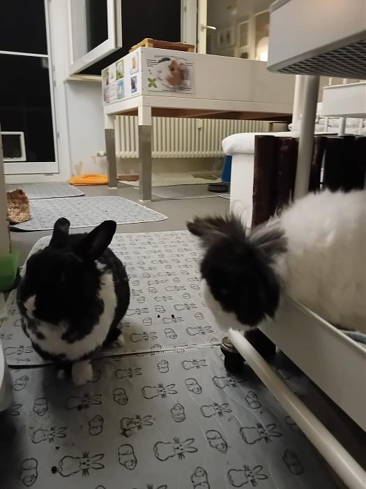 Klicke auf die Grafik fr eine grere Ansicht

Name:	IMG-20250831-WA0051.jpg
Hits:	0
Gre:	183,5 KB
ID:	214669