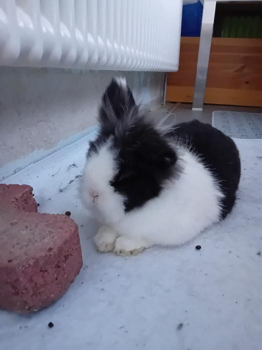 Klicke auf die Grafik fr eine grere Ansicht

Name:	IMG-20250831-WA0049.jpg
Hits:	0
Gre:	131,0 KB
ID:	214670