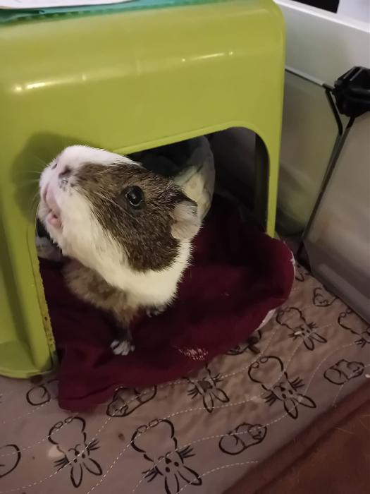 Klicke auf die Grafik fr eine grere Ansicht

Name:	IMG-20250831-WA0050.jpg
Hits:	0
Gre:	142,6 KB
ID:	214675