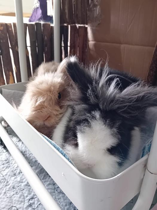 Klicke auf die Grafik fr eine grere Ansicht

Name:	IMG-20250907-WA0129.jpg
Hits:	0
Gre:	131,8 KB
ID:	214714