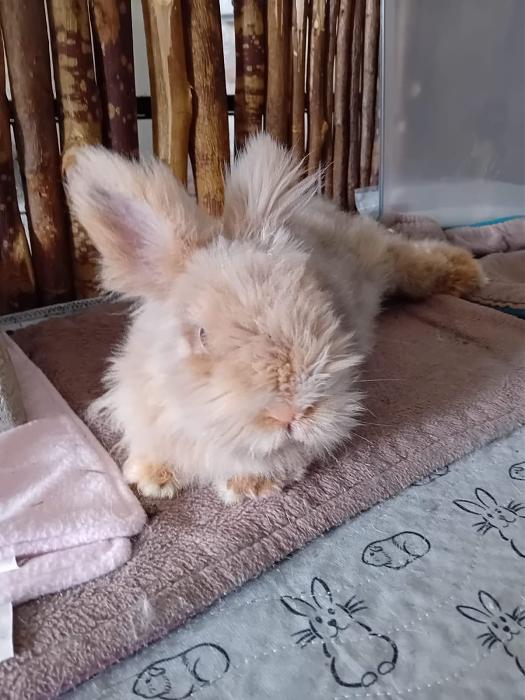 Klicke auf die Grafik fr eine grere Ansicht

Name:	IMG-20250907-WA0130.jpg
Hits:	0
Gre:	169,7 KB
ID:	214715