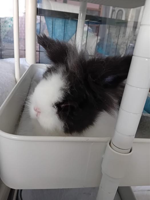 Klicke auf die Grafik fr eine grere Ansicht

Name:	IMG-20250907-WA0131.jpg
Hits:	0
Gre:	139,9 KB
ID:	214716