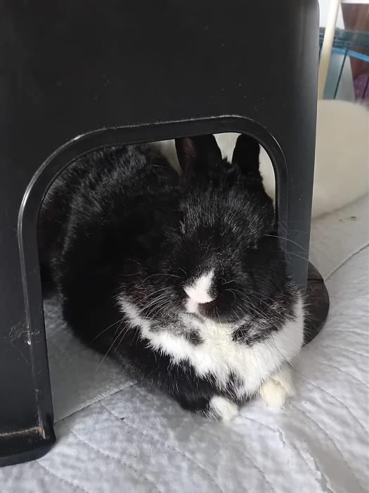 Klicke auf die Grafik fr eine grere Ansicht

Name:	IMG-20250907-WA0127.jpg
Hits:	0
Gre:	127,8 KB
ID:	214719