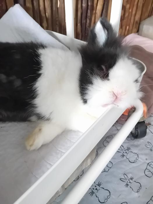 Klicke auf die Grafik fr eine grere Ansicht

Name:	IMG-20250907-WA0126.jpg
Hits:	0
Gre:	145,0 KB
ID:	214720