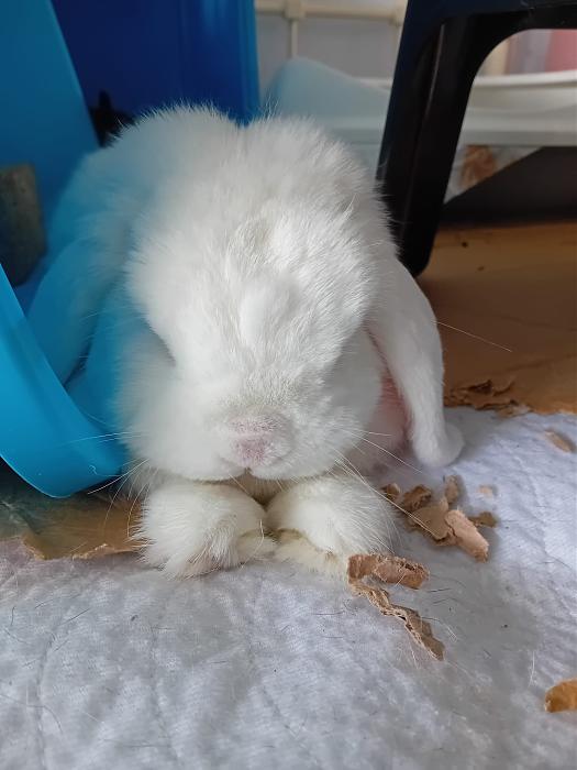 Klicke auf die Grafik fr eine grere Ansicht

Name:	IMG-20250907-WA0134.jpg
Hits:	0
Gre:	188,2 KB
ID:	214722