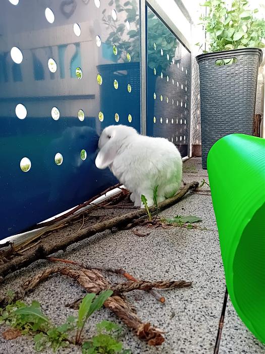 Klicke auf die Grafik fr eine grere Ansicht

Name:	IMG-20250907-WA0137.jpg
Hits:	0
Gre:	282,4 KB
ID:	214726