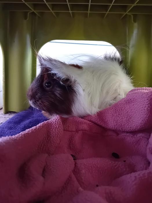 Klicke auf die Grafik fr eine grere Ansicht

Name:	IMG-20250907-WA0148.jpg
Hits:	0
Gre:	172,4 KB
ID:	214739