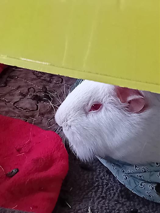 Klicke auf die Grafik fr eine grere Ansicht

Name:	IMG-20250907-WA0149.jpg
Hits:	0
Gre:	178,5 KB
ID:	214741