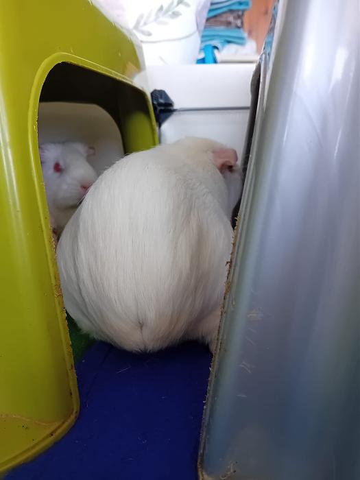 Klicke auf die Grafik fr eine grere Ansicht

Name:	IMG-20250907-WA0146.jpg
Hits:	0
Gre:	125,2 KB
ID:	214742