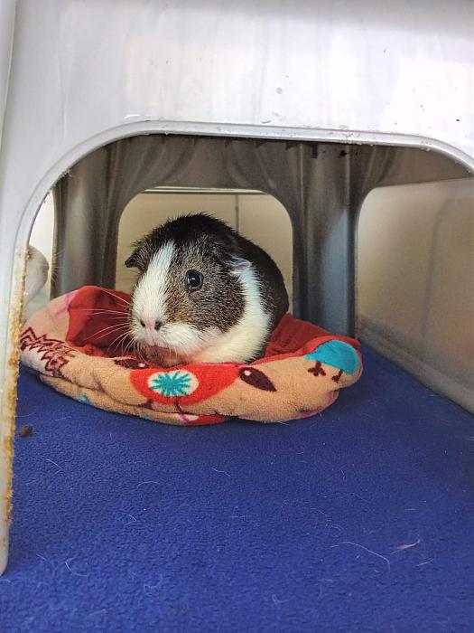 Klicke auf die Grafik fr eine grere Ansicht

Name:	IMG-20250907-WA0147.jpg
Hits:	0
Gre:	170,6 KB
ID:	214744