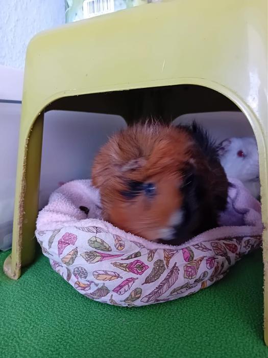 Klicke auf die Grafik fr eine grere Ansicht

Name:	IMG-20250907-WA0143.jpg
Hits:	0
Gre:	143,7 KB
ID:	214745