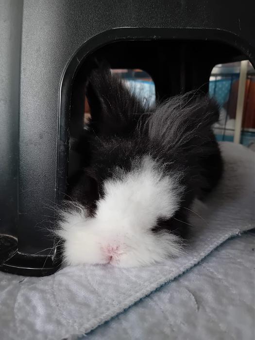 Klicke auf die Grafik fr eine grere Ansicht

Name:	IMG-20250914-WA0020.jpg
Hits:	0
Gre:	173,9 KB
ID:	214764