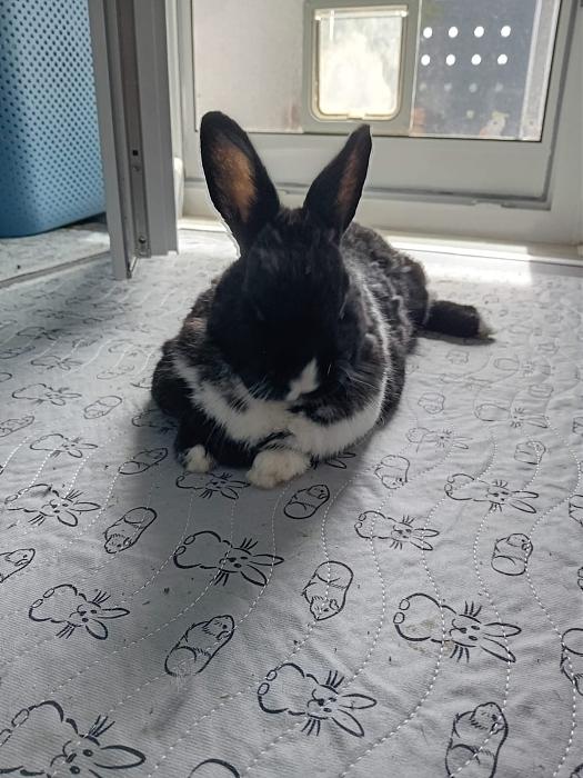 Klicke auf die Grafik fr eine grere Ansicht

Name:	IMG-20250914-WA0011.jpg
Hits:	0
Gre:	202,5 KB
ID:	214769