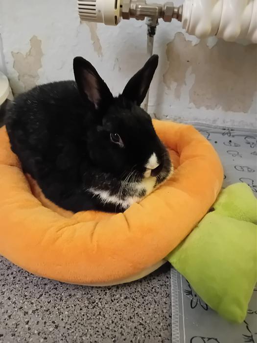 Klicke auf die Grafik fr eine grere Ansicht

Name:	IMG-20250914-WA0012.jpg
Hits:	0
Gre:	173,9 KB
ID:	214771