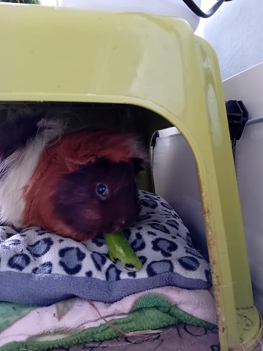 Klicke auf die Grafik fr eine grere Ansicht

Name:	IMG-20250914-WA0026.jpg
Hits:	0
Gre:	173,0 KB
ID:	214777