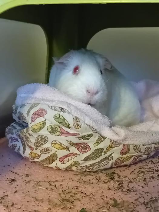 Klicke auf die Grafik fr eine grere Ansicht

Name:	IMG-20250914-WA0025.jpg
Hits:	0
Gre:	138,7 KB
ID:	214779