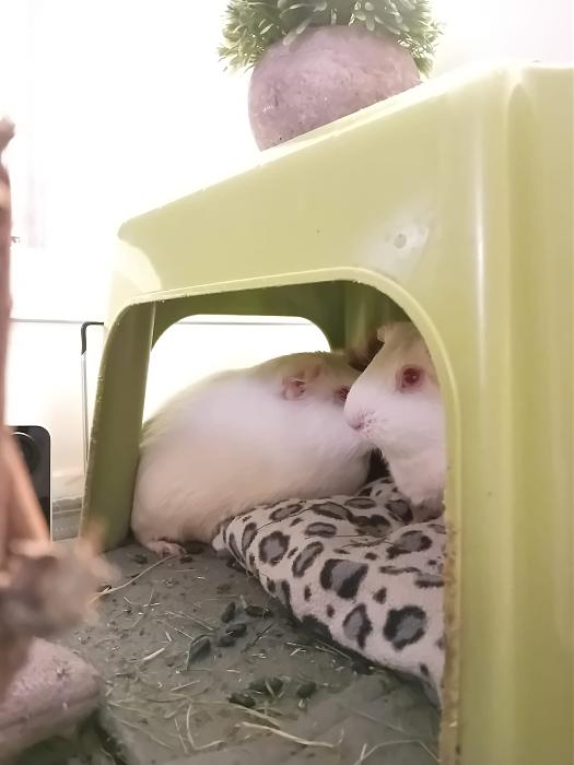 Klicke auf die Grafik fr eine grere Ansicht

Name:	IMG-20250914-WA0021.jpg
Hits:	0
Gre:	137,1 KB
ID:	214782