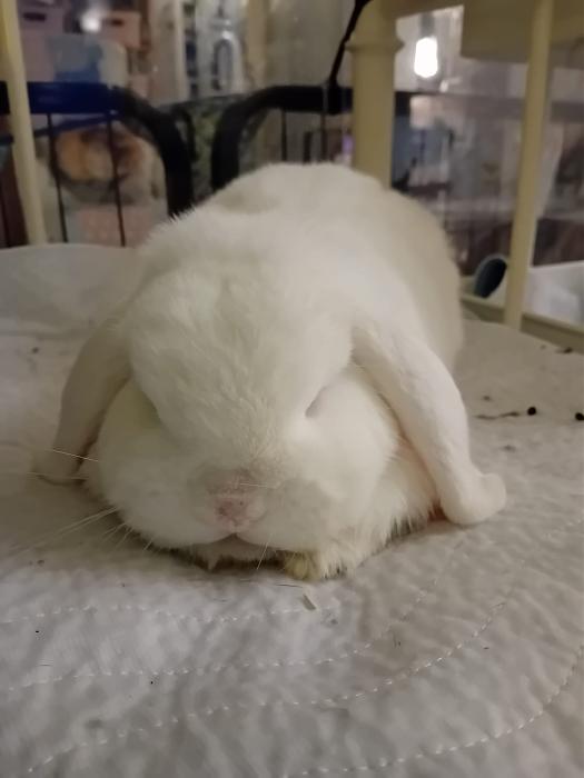 Klicke auf die Grafik f�r eine gr��ere Ansicht

Name:	IMG-20250928-WA0059.jpg
Hits:	0
Gr��e:	118,7 KB
ID:	214866