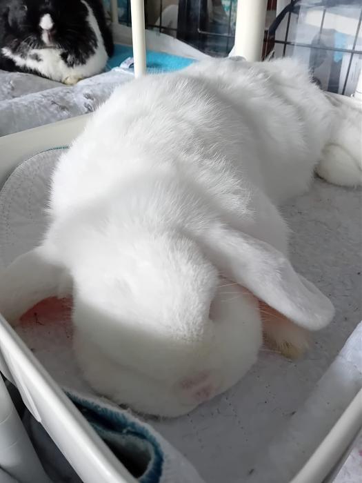 Klicke auf die Grafik f�r eine gr��ere Ansicht

Name:	IMG-20250928-WA0060.jpg
Hits:	0
Gr��e:	153,8 KB
ID:	214867