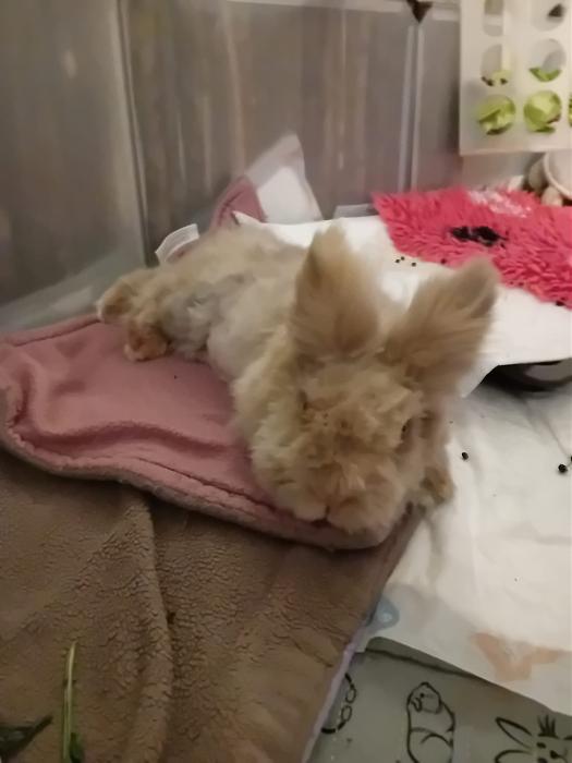 Klicke auf die Grafik f�r eine gr��ere Ansicht

Name:	IMG-20250928-WA0061.jpg
Hits:	0
Gr��e:	132,4 KB
ID:	214868