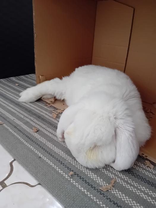 Klicke auf die Grafik f�r eine gr��ere Ansicht

Name:	IMG-20251005-WA0033.jpg
Hits:	0
Gr��e:	159,7 KB
ID:	214897