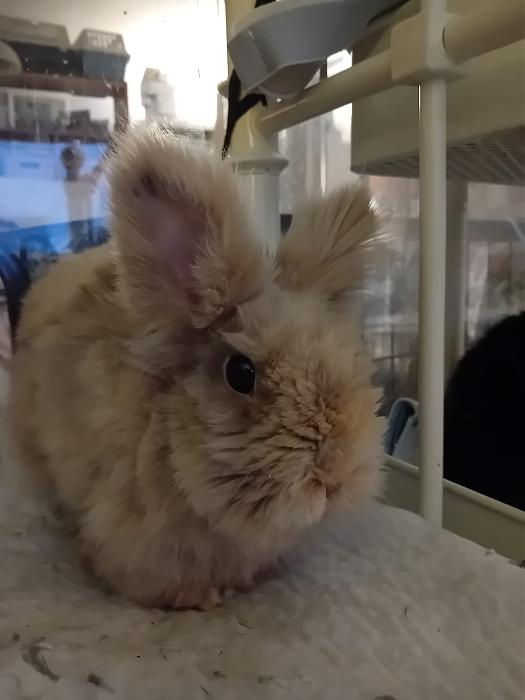 Klicke auf die Grafik f�r eine gr��ere Ansicht

Name:	IMG-20251005-WA0057.jpg
Hits:	0
Gr��e:	138,7 KB
ID:	214898