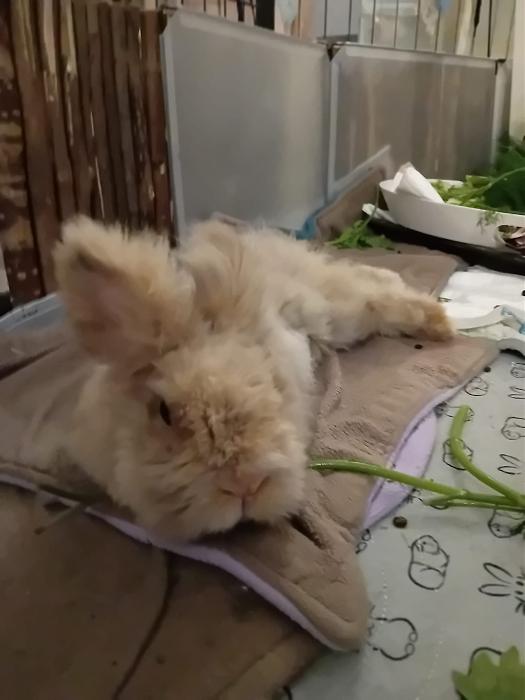 Klicke auf die Grafik f�r eine gr��ere Ansicht

Name:	IMG-20251005-WA0058.jpg
Hits:	0
Gr��e:	140,4 KB
ID:	214899