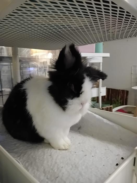 Klicke auf die Grafik f�r eine gr��ere Ansicht

Name:	IMG-20251005-WA0056.jpg
Hits:	1
Gr��e:	182,0 KB
ID:	214901