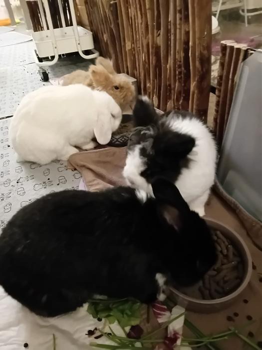 Klicke auf die Grafik f�r eine gr��ere Ansicht

Name:	IMG-20251005-WA0055.jpg
Hits:	0
Gr��e:	166,9 KB
ID:	214903