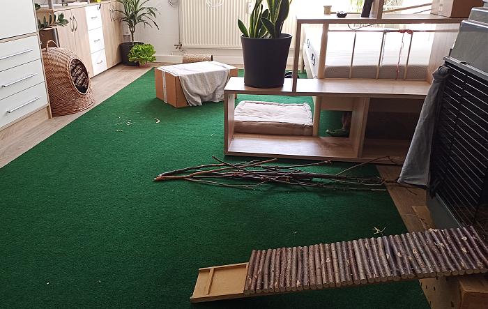 Klicke auf die Grafik fr eine grere Ansicht

Name:	IMG_20250906.jpg
Hits:	0
Gre:	328,9 KB
ID:	214941