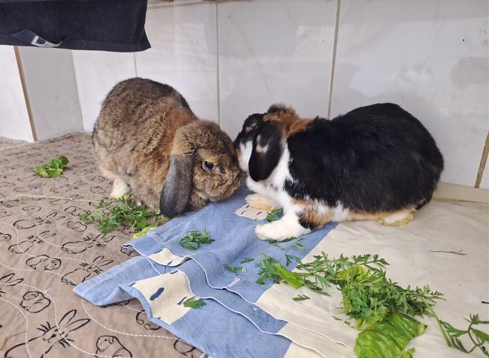 Klicke auf die Grafik fr eine grere Ansicht

Name:	Screenshot_20251009_235534_Gallery.jpg
Hits:	2
Gre:	256,6 KB
ID:	214958