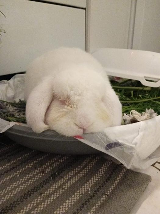 Klicke auf die Grafik f�r eine gr��ere Ansicht

Name:	IMG-20251012-WA0050.jpg
Hits:	0
Gr��e:	138,7 KB
ID:	214984