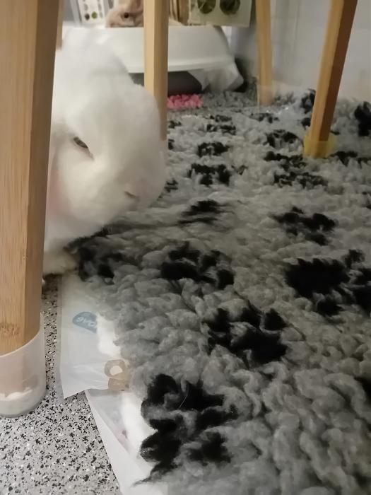 Klicke auf die Grafik f�r eine gr��ere Ansicht

Name:	IMG-20251012-WA0075.jpg
Hits:	0
Gr��e:	186,6 KB
ID:	214986