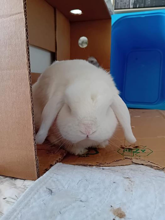 Klicke auf die Grafik f�r eine gr��ere Ansicht

Name:	IMG-20251012-WA0073.jpg
Hits:	0
Gr��e:	124,8 KB
ID:	214987