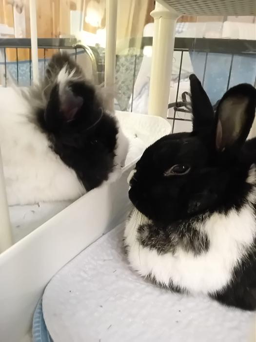 Klicke auf die Grafik f�r eine gr��ere Ansicht

Name:	IMG-20251012-WA0074.jpg
Hits:	0
Gr��e:	147,3 KB
ID:	214988