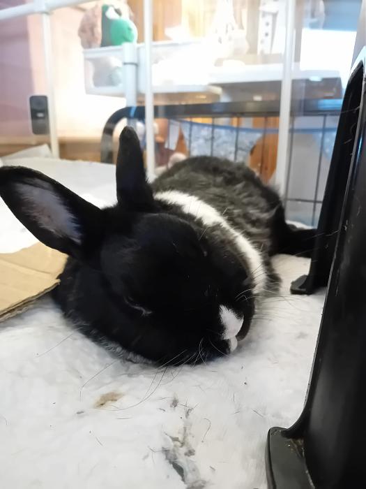 Klicke auf die Grafik f�r eine gr��ere Ansicht

Name:	IMG-20251012-WA0072.jpg
Hits:	0
Gr��e:	147,2 KB
ID:	214989