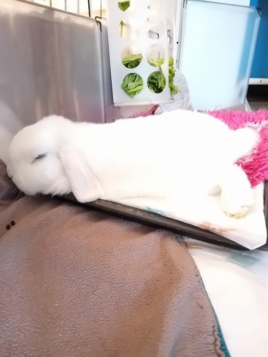 Klicke auf die Grafik f�r eine gr��ere Ansicht

Name:	IMG-20251012-WA0071.jpg
Hits:	0
Gr��e:	156,3 KB
ID:	214991