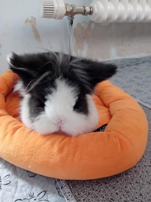 Klicke auf die Grafik f�r eine gr��ere Ansicht

Name:	IMG-20251012-WA0069.jpg
Hits:	0
Gr��e:	191,1 KB
ID:	214992