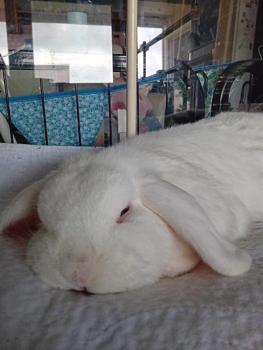 Klicke auf die Grafik f�r eine gr��ere Ansicht

Name:	IMG-20251012-WA0067.jpg
Hits:	0
Gr��e:	139,2 KB
ID:	214994