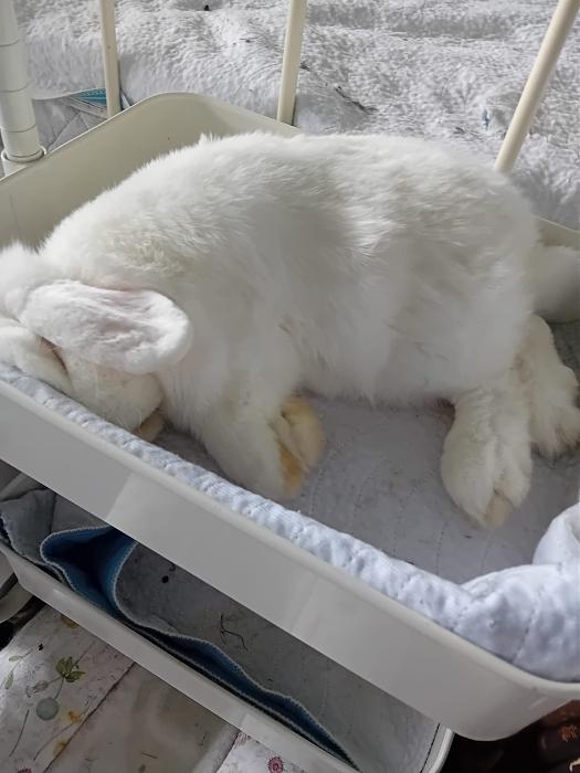 Klicke auf die Grafik f�r eine gr��ere Ansicht

Name:	IMG-20251012-WA0065.jpg
Hits:	0
Gr��e:	175,7 KB
ID:	214996