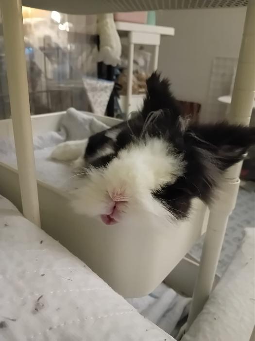 Klicke auf die Grafik f�r eine gr��ere Ansicht

Name:	IMG-20251012-WA0064.jpg
Hits:	0
Gr��e:	127,4 KB
ID:	214997