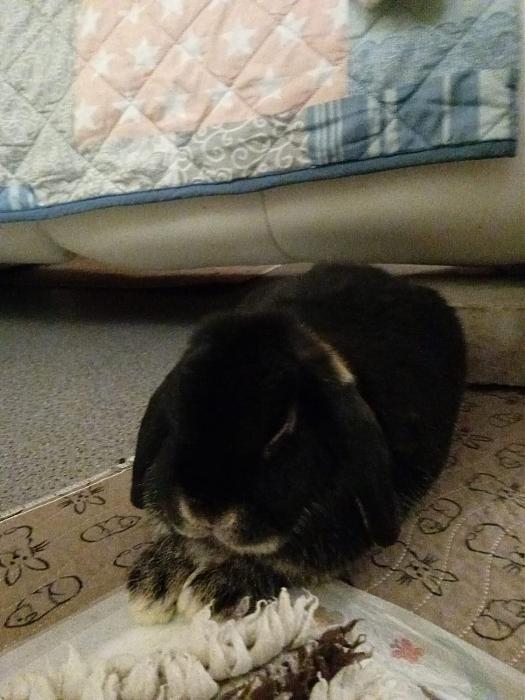 Klicke auf die Grafik f�r eine gr��ere Ansicht

Name:	IMG-20251012-WA0053.jpg
Hits:	0
Gr��e:	170,8 KB
ID:	215001