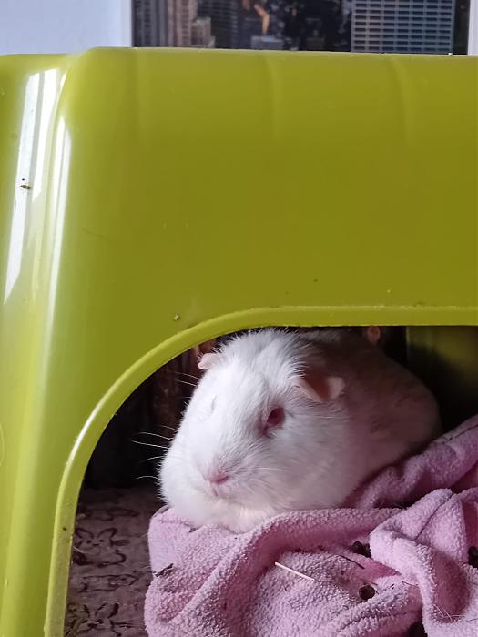 Klicke auf die Grafik f�r eine gr��ere Ansicht

Name:	IMG-20251012-WA0059.jpg
Hits:	0
Gr��e:	168,0 KB
ID:	215006