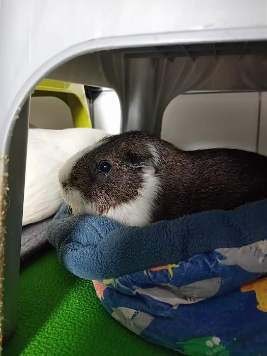 Klicke auf die Grafik f�r eine gr��ere Ansicht

Name:	IMG-20251012-WA0056.jpg
Hits:	0
Gr��e:	151,6 KB
ID:	215007