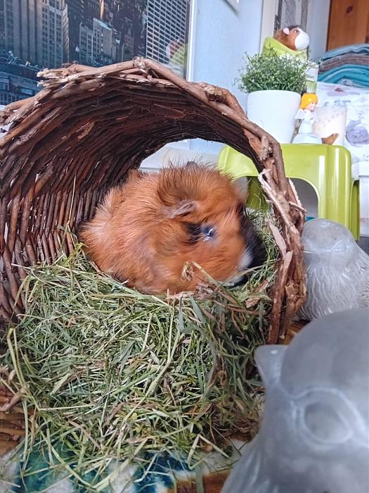 Klicke auf die Grafik f�r eine gr��ere Ansicht

Name:	IMG-20251012-WA0057.jpg
Hits:	0
Gr��e:	277,3 KB
ID:	215009