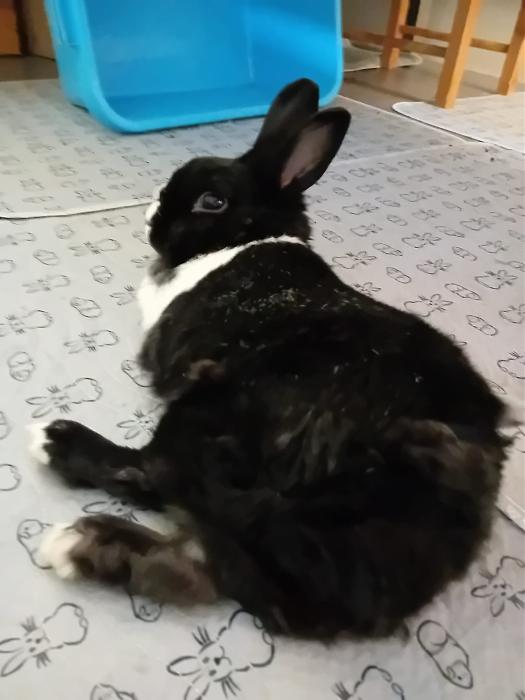 Klicke auf die Grafik f�r eine gr��ere Ansicht

Name:	IMG-20251019-WA0062.jpg
Hits:	0
Gr��e:	145,4 KB
ID:	215084