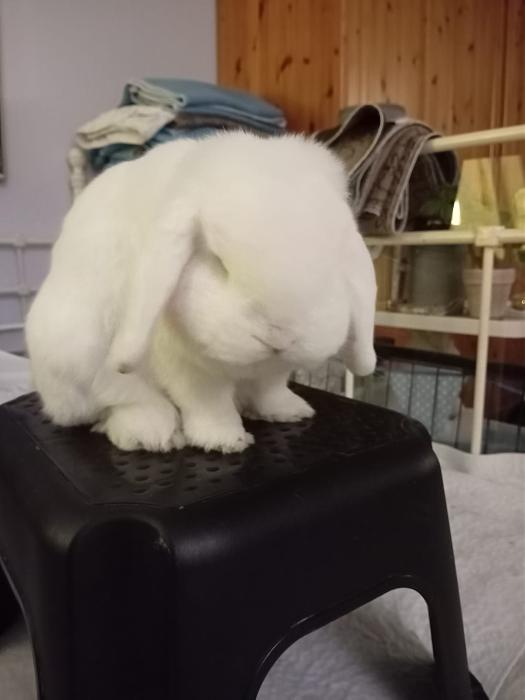 Klicke auf die Grafik f�r eine gr��ere Ansicht

Name:	IMG-20251019-WA0059.jpg
Hits:	0
Gr��e:	120,7 KB
ID:	215088