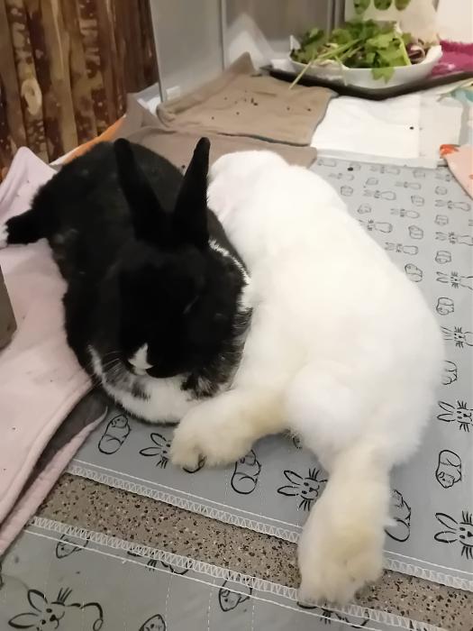 Klicke auf die Grafik f�r eine gr��ere Ansicht

Name:	IMG-20251019-WA0058.jpg
Hits:	0
Gr��e:	177,6 KB
ID:	215089